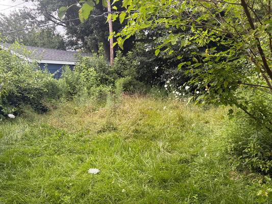 Extreme overgrowth service