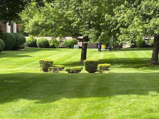 Lawn Service (One time)