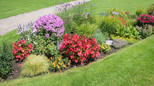 Weeding/trimming services